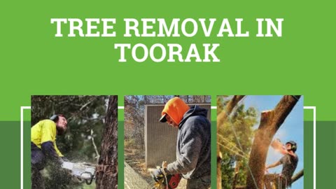 Tree Removal in Toorak: Professional Services for Tree Removal Needs