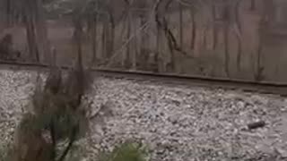 Another train derailed in Alabama this time | Check Description