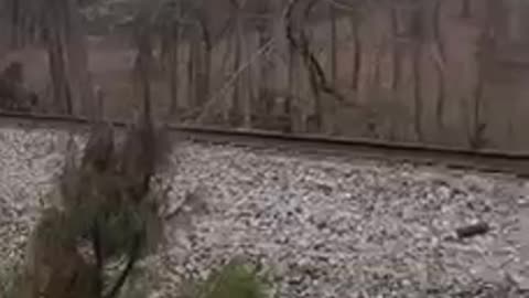 Another train derailed in Alabama this time | Check Description
