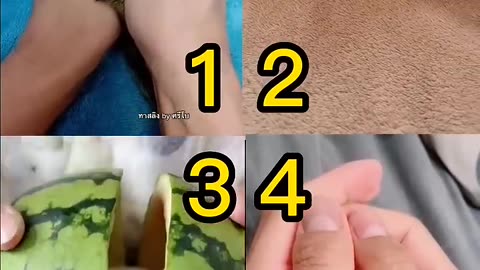 Pick your Best! TikTok Compilation! #cute baby pets#viral