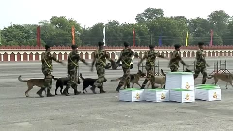 Amazing dogs trained by BSF display their skills before minister