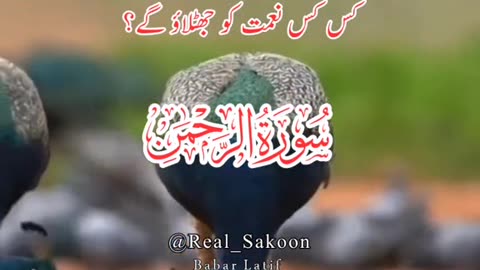 Qari syed sadaqat ALi beautiful tilawat