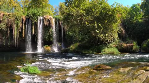 Live From Waterfall Beautiful Sound of Nature