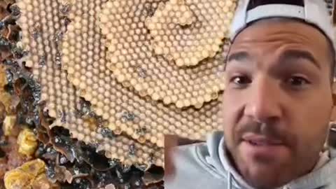 Here’s a short clip on why you should never kill bees