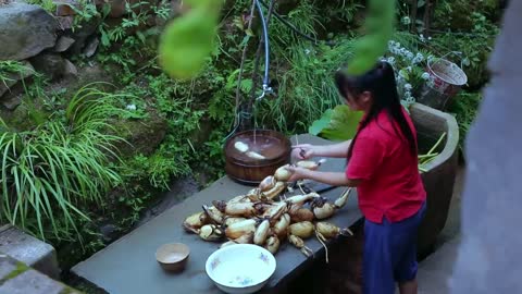 Lotus Root