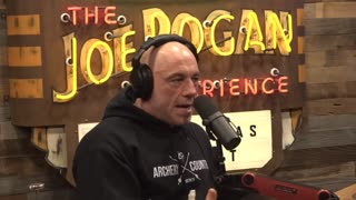 Joe Rogan Did You See Bert Kreischer Go After That Protester