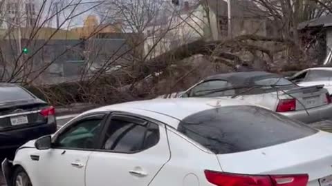 Storm causes damage across Sacramento, California