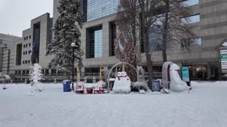 Do they still have Christmas lights in Toronto Canada ? Filmed this Feb 15th, 2024