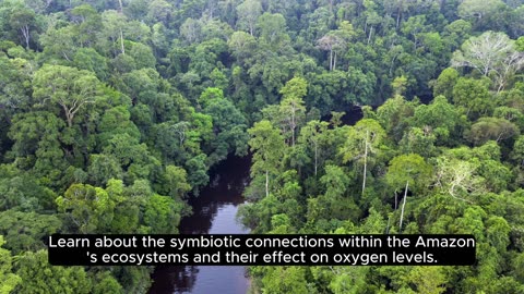 Amazon's Breath of Life: Producing 20% of Earth's Oxygen"❤️