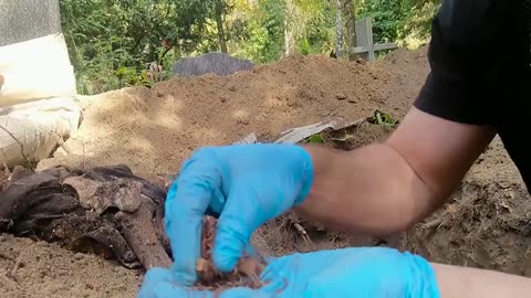 Reusing a 52 year old grave