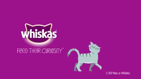 Why Do Cats Purr_ - Whiskas K.I.T._2