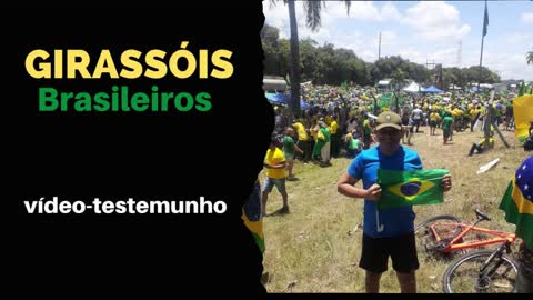 Girassóis brasileiros, vídeo-testemunho