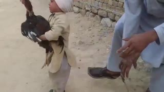 Tenderhearted Little Boy Saves Chicken From Slaughter