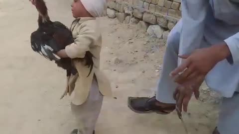 Tenderhearted Little Boy Saves Chicken From Slaughter