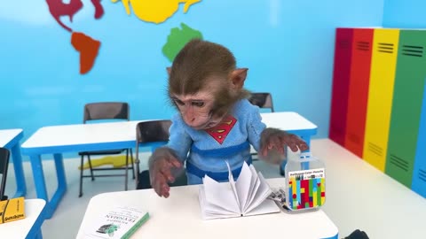 Monkey baby harvesting fruits