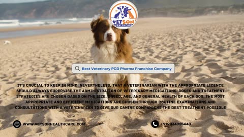 Best Veterinary PCD Pharma Franchise Company|Vetsonhealthcare