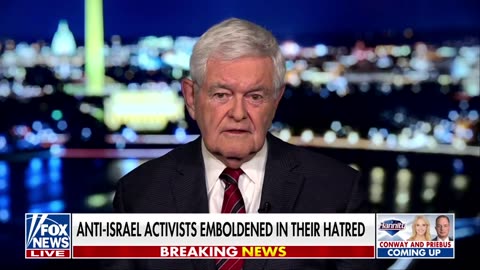 Newt Gingrich: Biden abandoned our allies