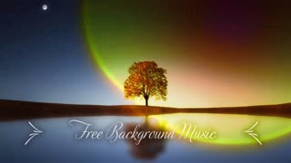 1 Hour Upbeat Background Music (Best MBB Music Collection) Free Download, No Copyright