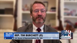 Rep. Tim Burchett: "People are making 70-75% return on their investments that are in congress."