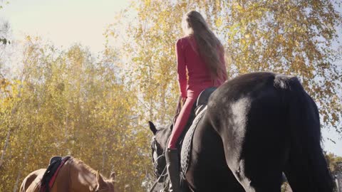 Young Caucasian woman saddling black graceful horse, turning to the camera and smiling