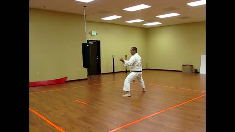 Goju-Ryu Karate/ Kata: Saifa