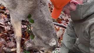 Father And Son Help Rescue Deer