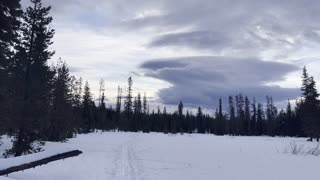 INCREDIBLE Cloud Formation in an Alpine Wonderland! – Ray Benson Sno-Park – Central Oregon – 4K