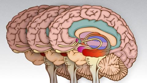 Unlocking the Mystery of Cognitive Decline Before Dementia