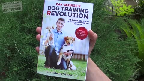 How To Train Your Dog