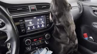 Windshield Wipers Entertain Lab
