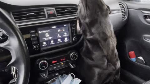 Windshield Wipers Entertain Lab