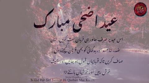 New Islamic quotes Urdu/ life quotes in Urdu/ Golden words in Urdu