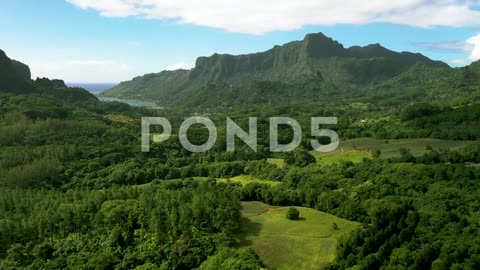 Aerial Drone Flyover Jungle On A Tropical Island