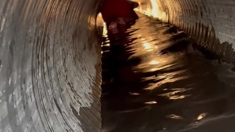 Approaching Gators in a Drain Pipe