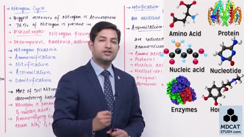 LEC#7 NITROGEN CYCLE