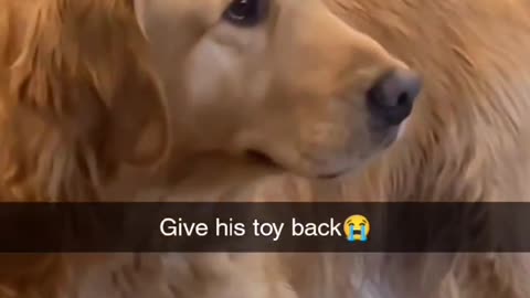 When dad takes your toy 😭