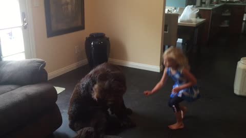 Little girl's response to dog is too cute!!