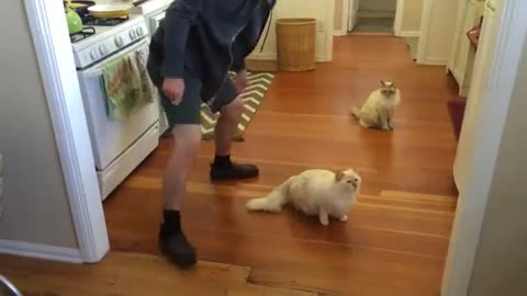 The cat enjoys sliding across the floor.