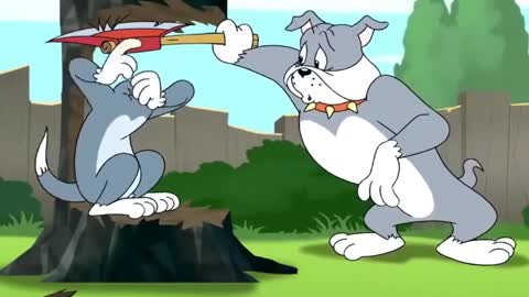 Tom & Jerry