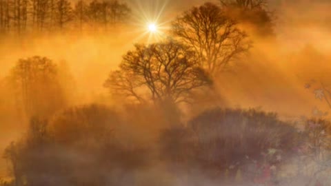 Magical Morning Mist...