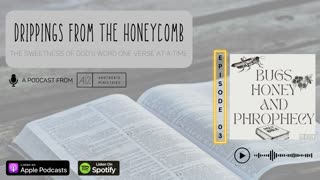 Bugs, Honey, and Prophecy (Matthew 3:3) - Episode 3 (S1) - Drippings from the Honeycomb Podcast