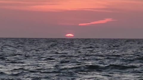Shark Boat Photobombs Sunset Recording