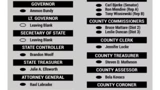 Kootenai County Spectator Recommended Nov. 8 Ballot