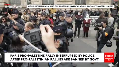 Paris Pro-Palestinian Rally Interrupted By Police After Pro-Palestinian Rallies Banned By Government