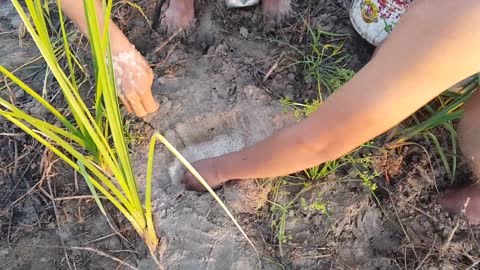 Survival skills.. Catching lot of fish using only Beer?OMG