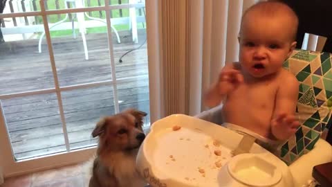 Cutest Babies Play With Dogs And Cats Compilation