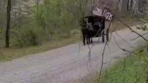 How Bad Can it Be When The Amish Get Political?!