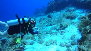 Cozumel SCUBA Diving Paraiso Reef Free Swim