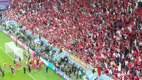 Morocco Players Crazy Celebrations After Win Against Portugal