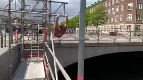 I found a real life Spider-Man 🤯